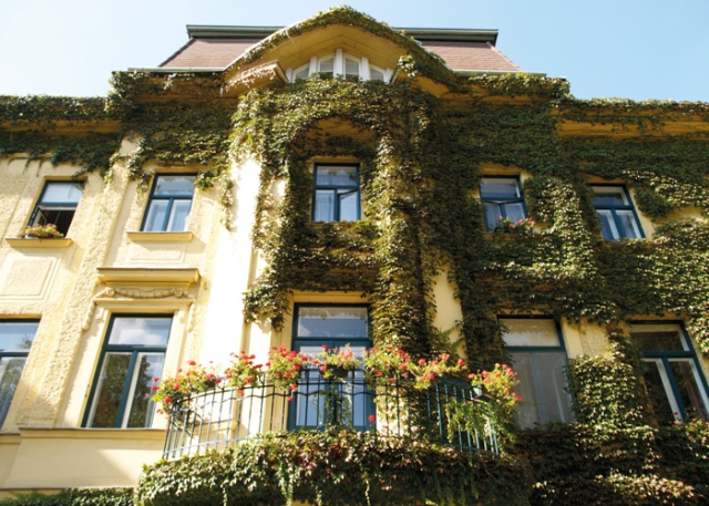 Haus Schönbrunn Caritas der Erzdiözese Wien